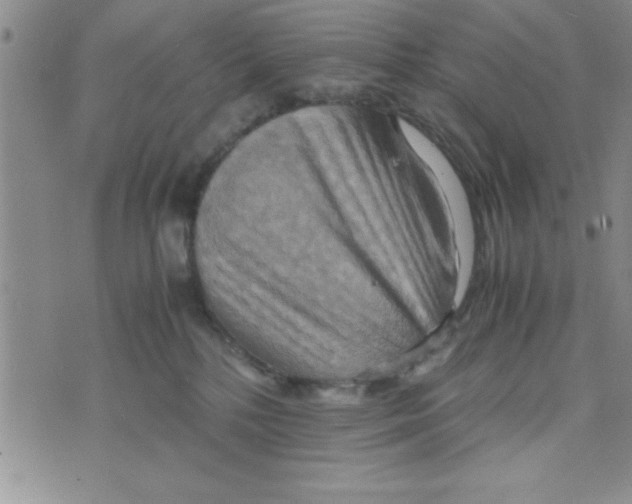 X0000075890232200610062101