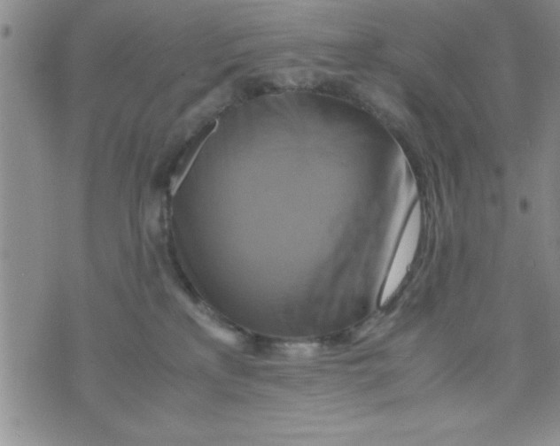 X0000075890233200610062101