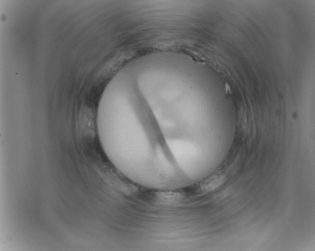 X0000075890234200610062101