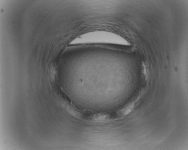 X0000075890235200610062100