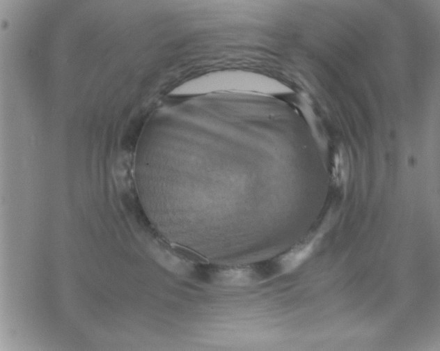 X0000075890237200610062100