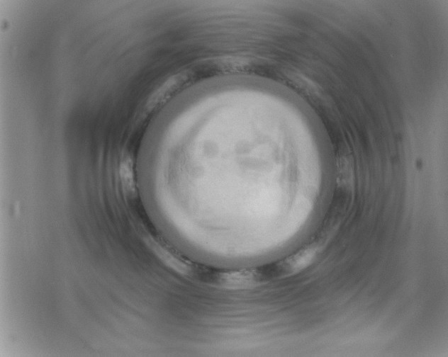 X0000075890238200610062100