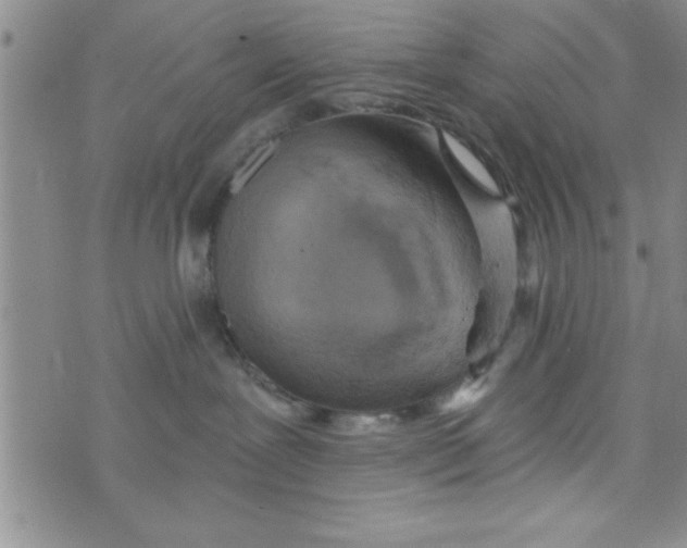 X0000075890239200610062100