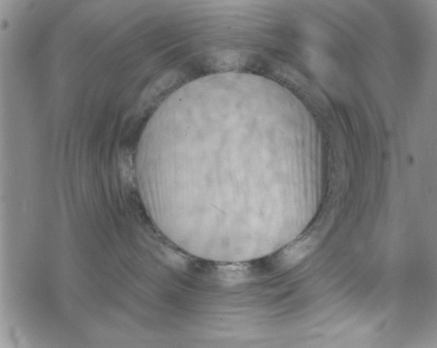 X0000075890240200610062100