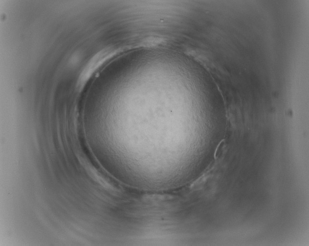 X0000075890242200610062100