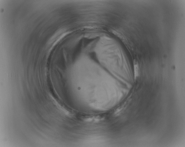 X0000075890243200610062100