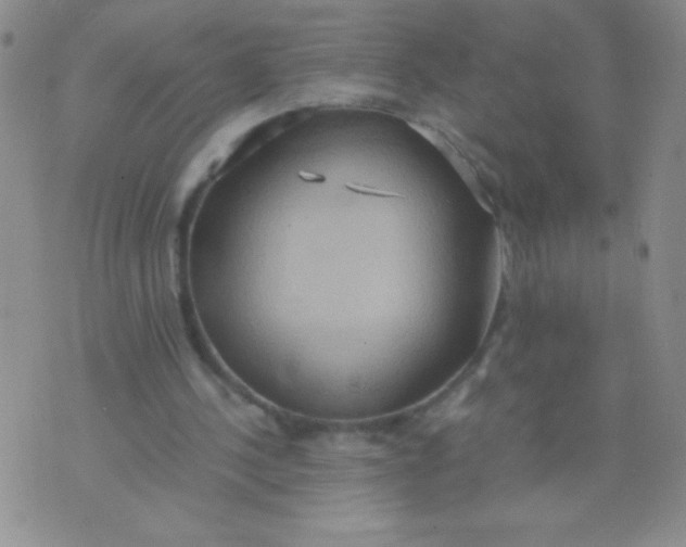 X0000075890244200610062100