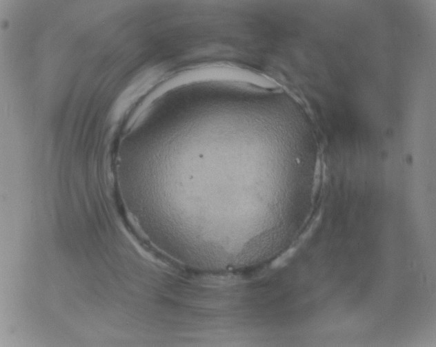 X0000075890245200610062100