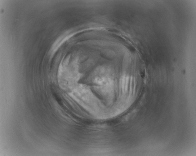 X0000075890247200610062100