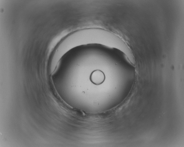 X0000075890248200610062100