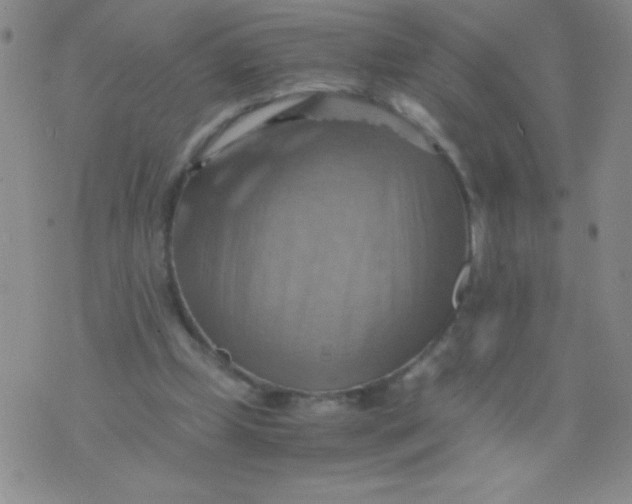 X0000075890249200610062100