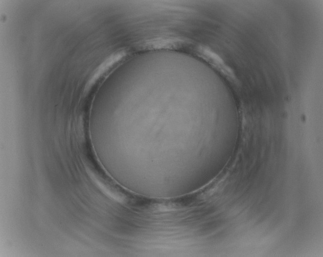 X0000075890250200610062100