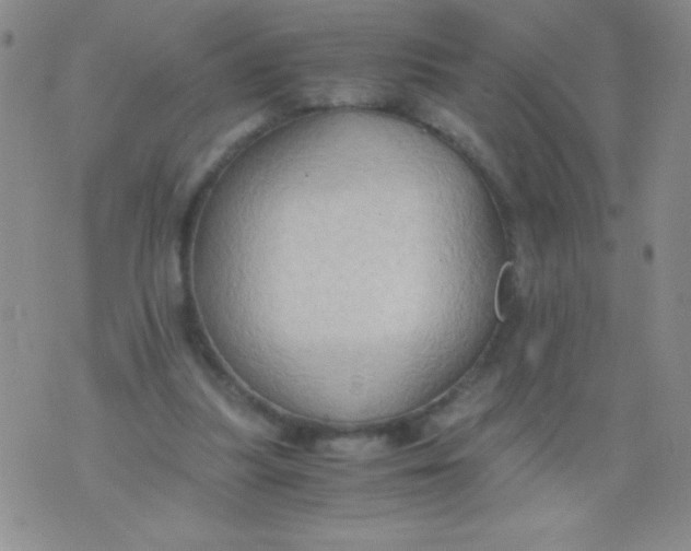 X0000075890251200610062100