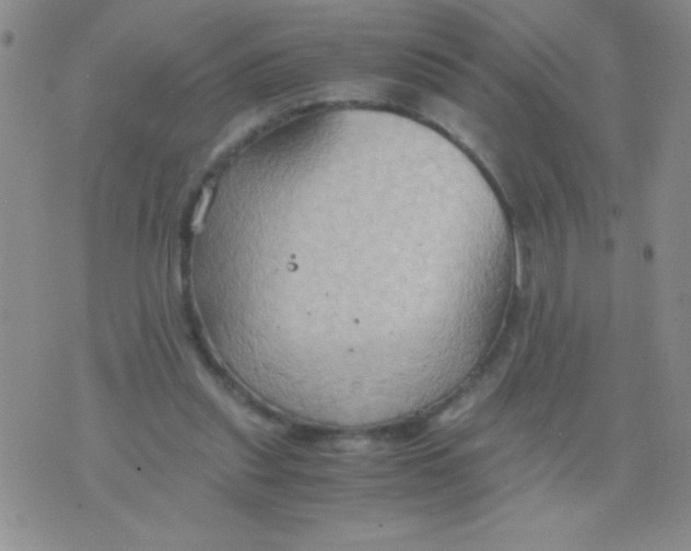 X0000075890253200610062100