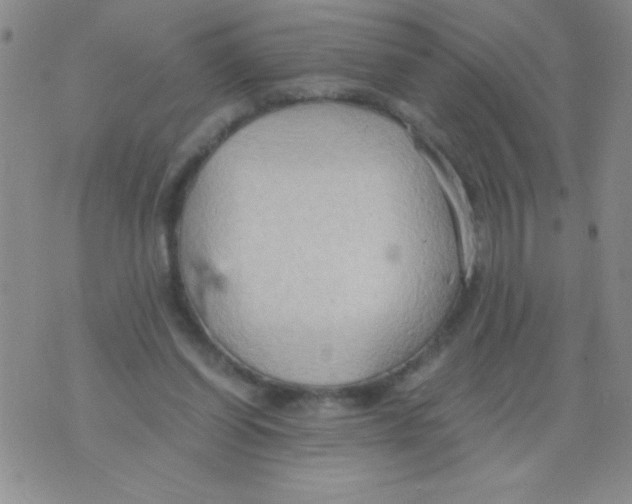 X0000075890254200610062100