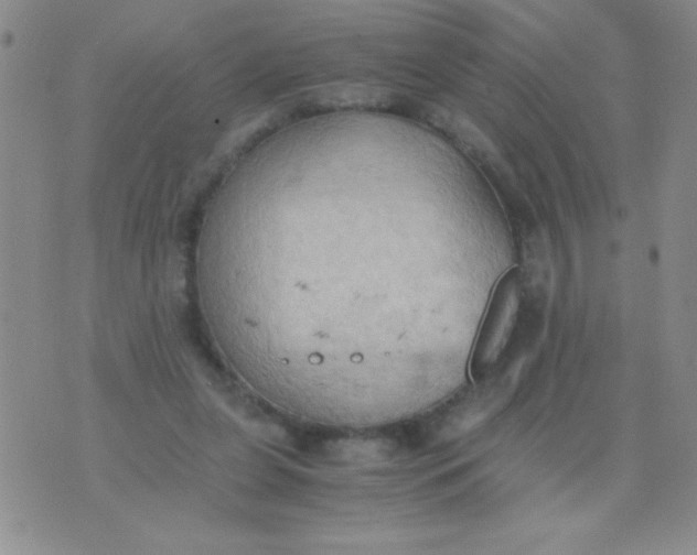 X0000075890255200610062100