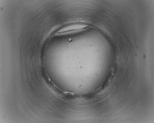 X0000075890256200610062100