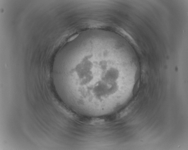 X0000075890257200610062100