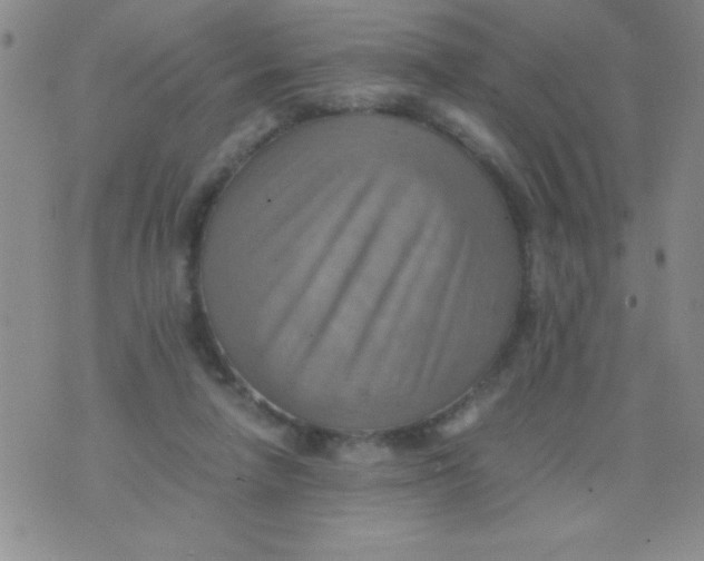 X0000075890258200610062100