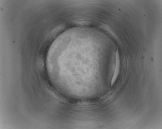 X0000075890259200610062100