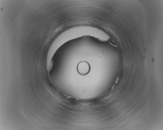 X0000075890260200610062100