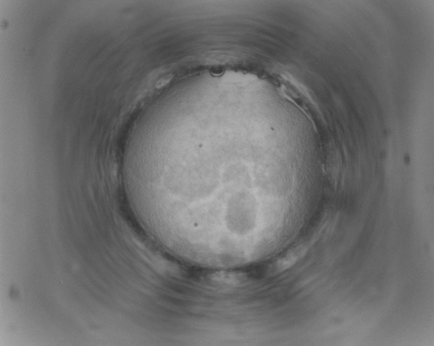 X0000075890261200610062100