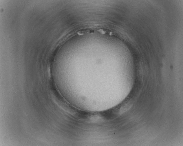 X0000075890262200610062100