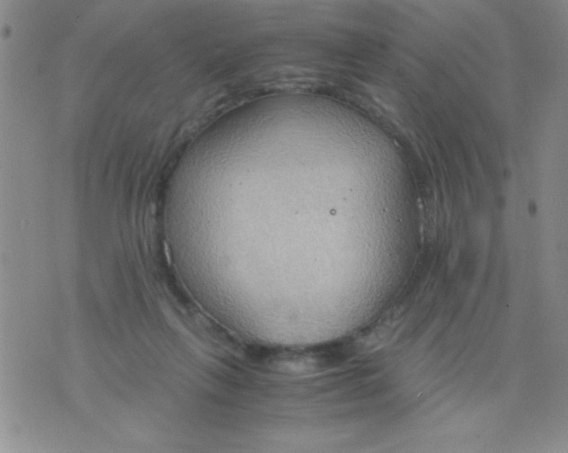 X0000075890263200610062100