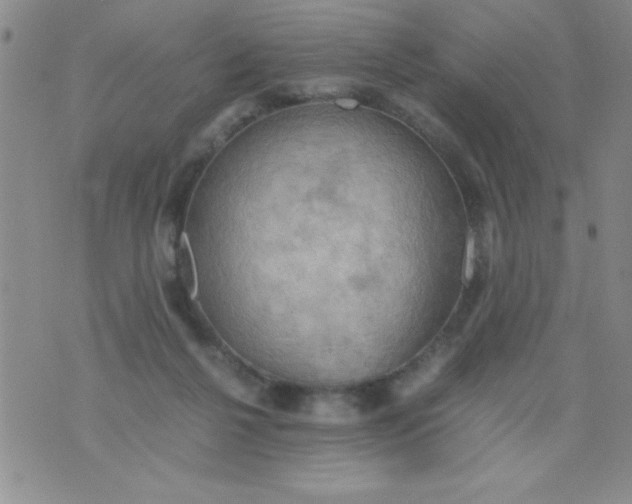 X0000075890264200610062100