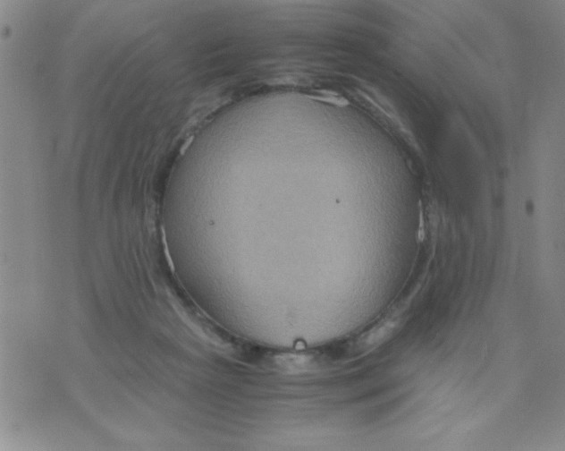 X0000075890265200610062100