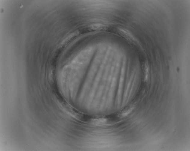 X0000075890266200610062100