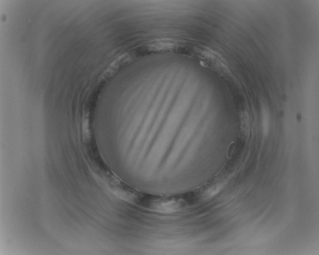 X0000075890267200610062100