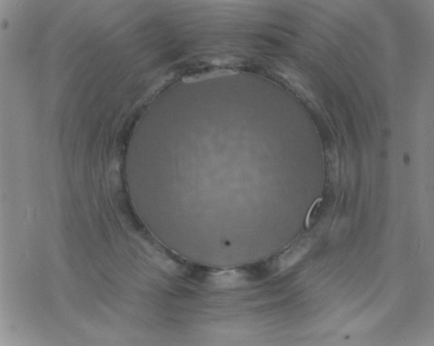 X0000075890269200610062100