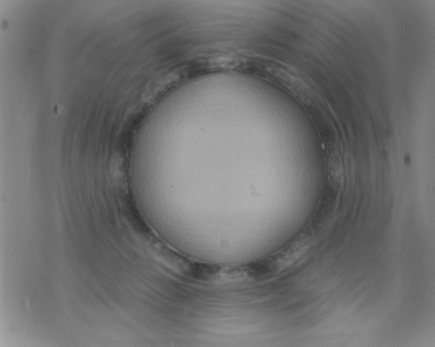 X0000075890270200610062100