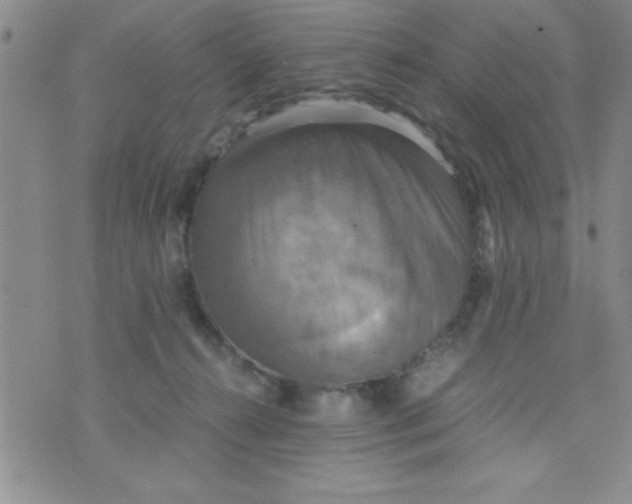 X0000075890272200610062100