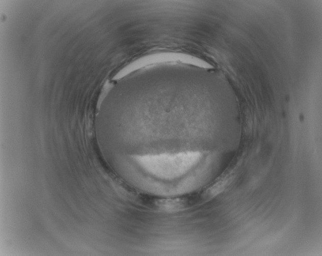 X0000075890273200610062100