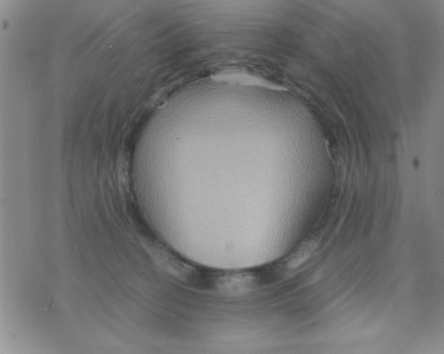 X0000075890274200610062100