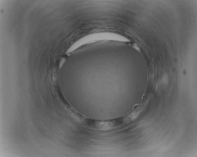 X0000075890277200610062100