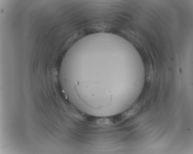 X0000075890279200610062100