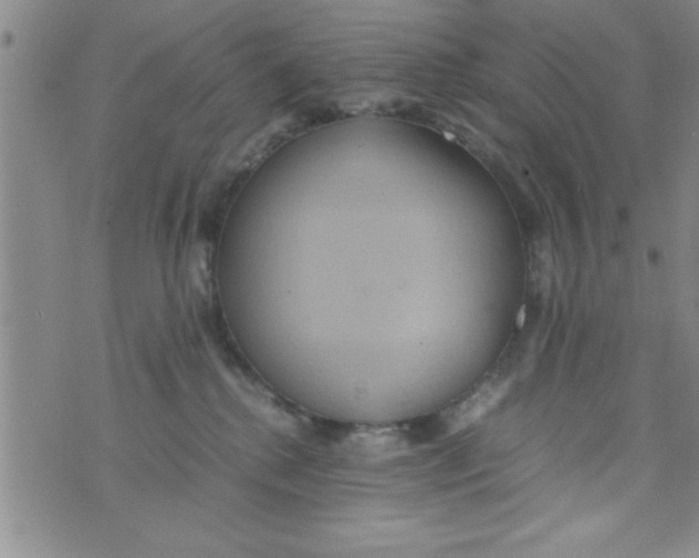 X0000075890280200610062100