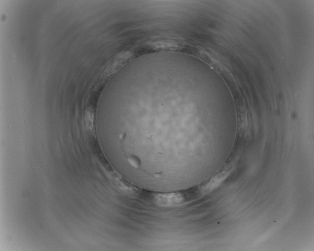 X0000075890281200610062100