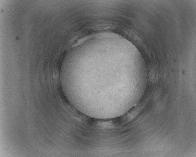 X0000075890283200610062100