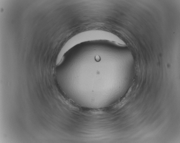 X0000075890284200610062100