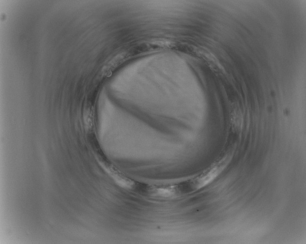 X0000075890285200610062100