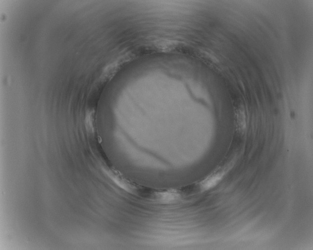 X0000075890286200610062100