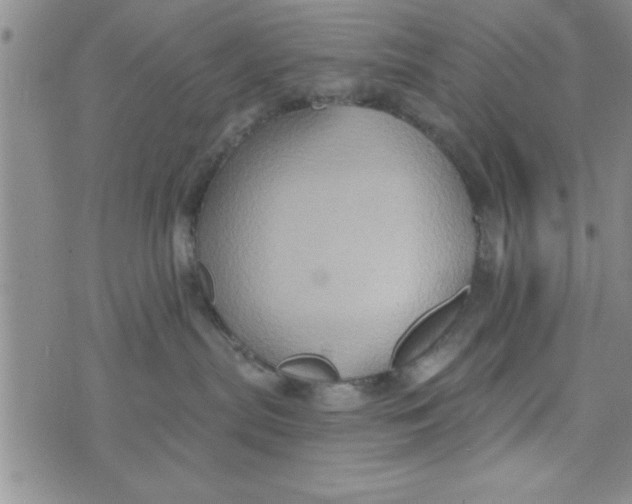 X0000075890287200610062100