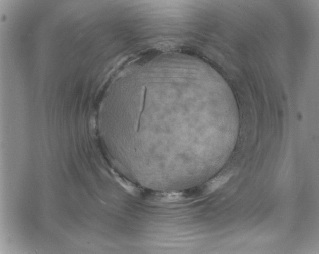 X0000075890288200610062100