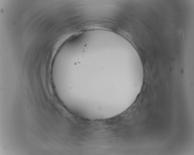 X0000075890289200610062100