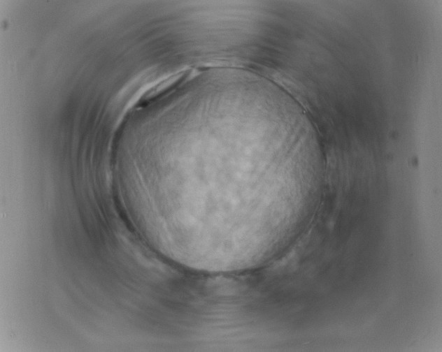 X0000075890290200610062100