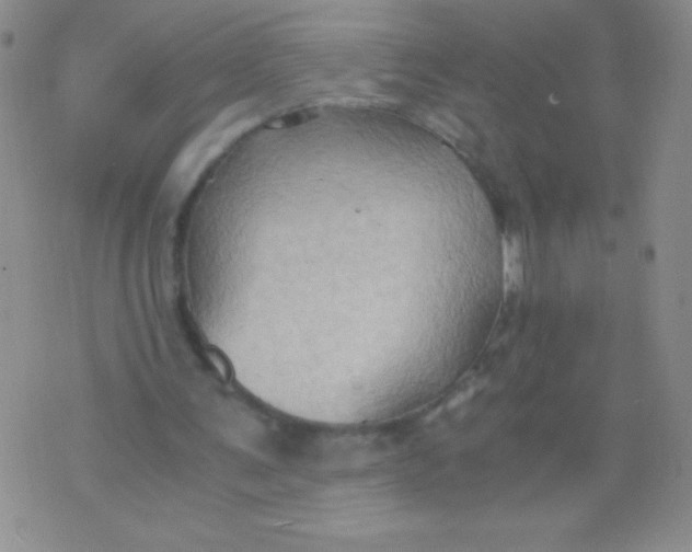 X0000075890291200610062100